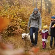 Fall Hike Woods Family